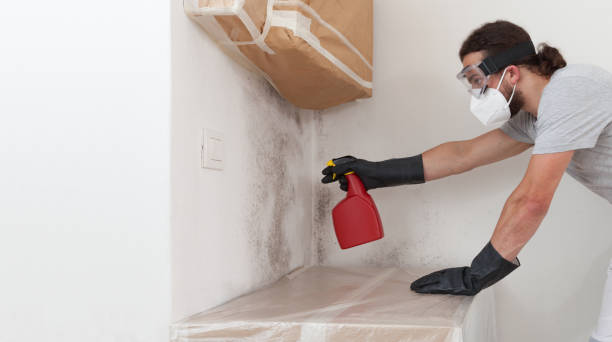 Professional Crawl Space Mold Removal technician working in Centereach, NY