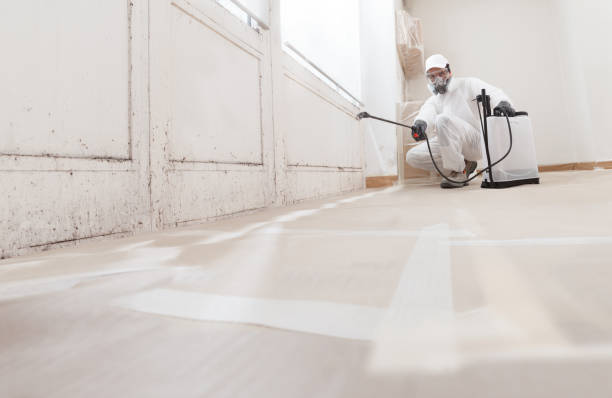 24/7 Emergency Crawl Space Mold Removal experts in Centereach, NY