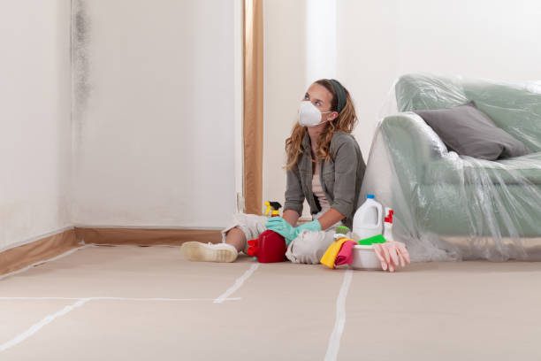 Reliable Crawl Space Mold Removal contractor in Centereach, NY by WQB Mold Removal